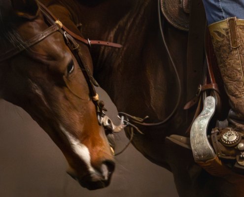 Fleur Halkema Fotografie - Paardenkracht (Horsepower)