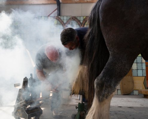 Fleur Halkema Fotografie - Paardenkracht (Horsepower)