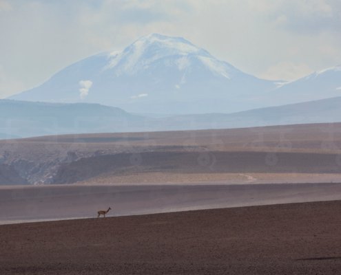 Fleur Halkema Fotografie - Atacama Solitude - Stillness Collection