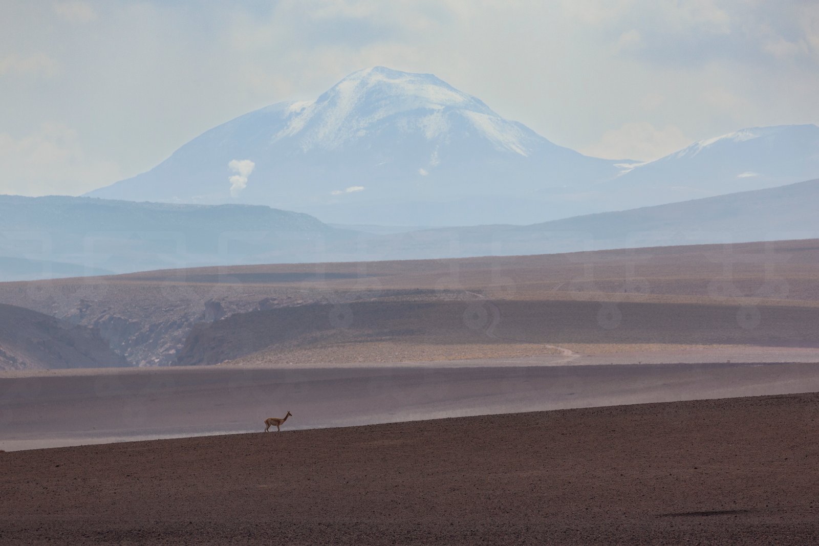 Fleur Halkema Fotografie - Atacama Solitude - Stillness Collection