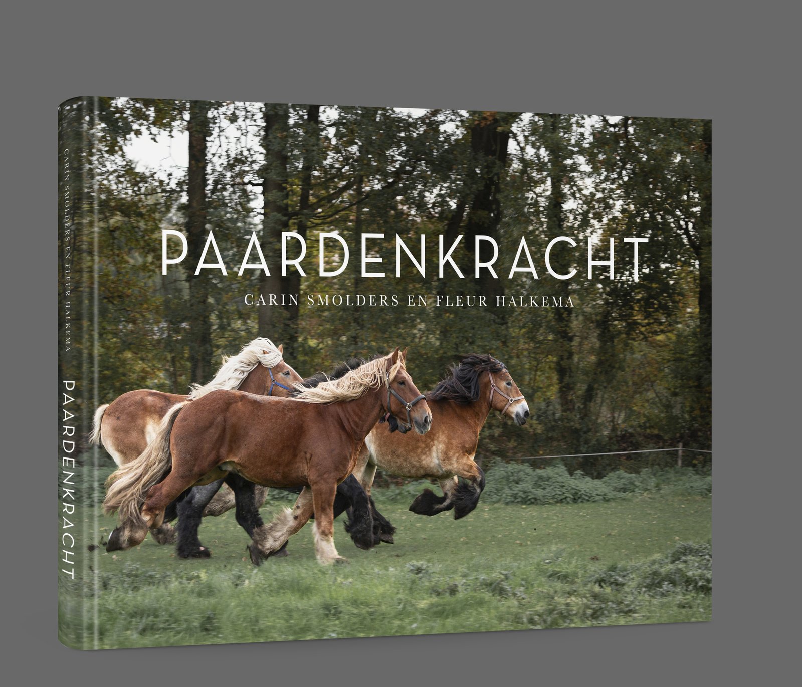 Fleur Halkema Fotografie / Paardenkracht Fotoboek